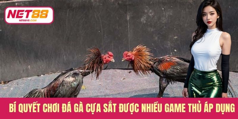 Đá Gà Cựa Sắt - Tốc Độ Cao, Kết Quả Chỉ Trong Tích Tắc 4 Bí quyết chơi đá gà cựa sắt được nhiều game thủ áp dụng