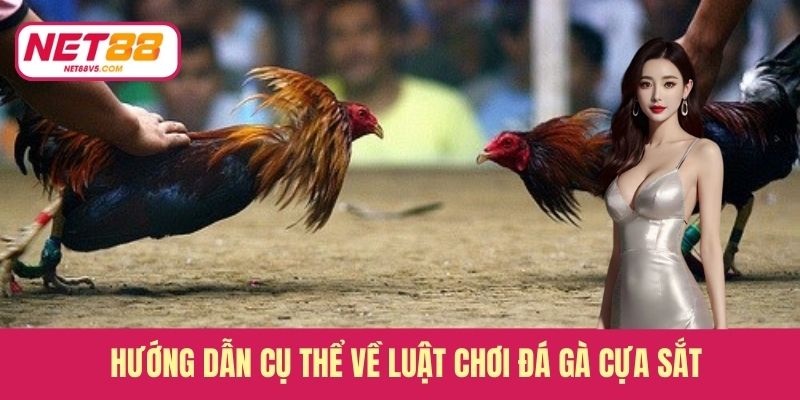 Đá Gà Cựa Sắt - Tốc Độ Cao, Kết Quả Chỉ Trong Tích Tắc 3 Hướng dẫn cụ thể về luật chơi đá gà cựa sắt