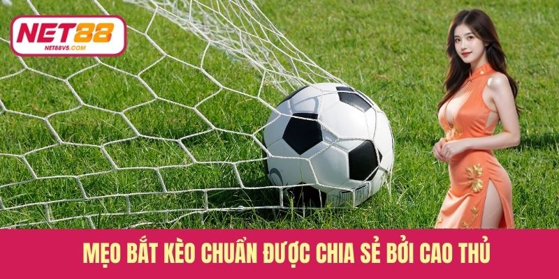Mẹo bắt kèo chuẩn được chia sẻ bởi cao thủ