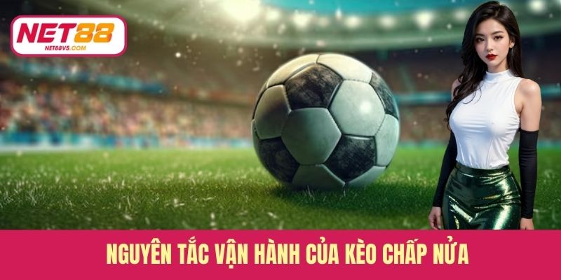 Kèo Chấp Nửa - Hướng Dẫn Đặt Cược Hiệu Quả Từ A Đến Z 3 Nguyên tắc vận hành của kèo chấp nửa